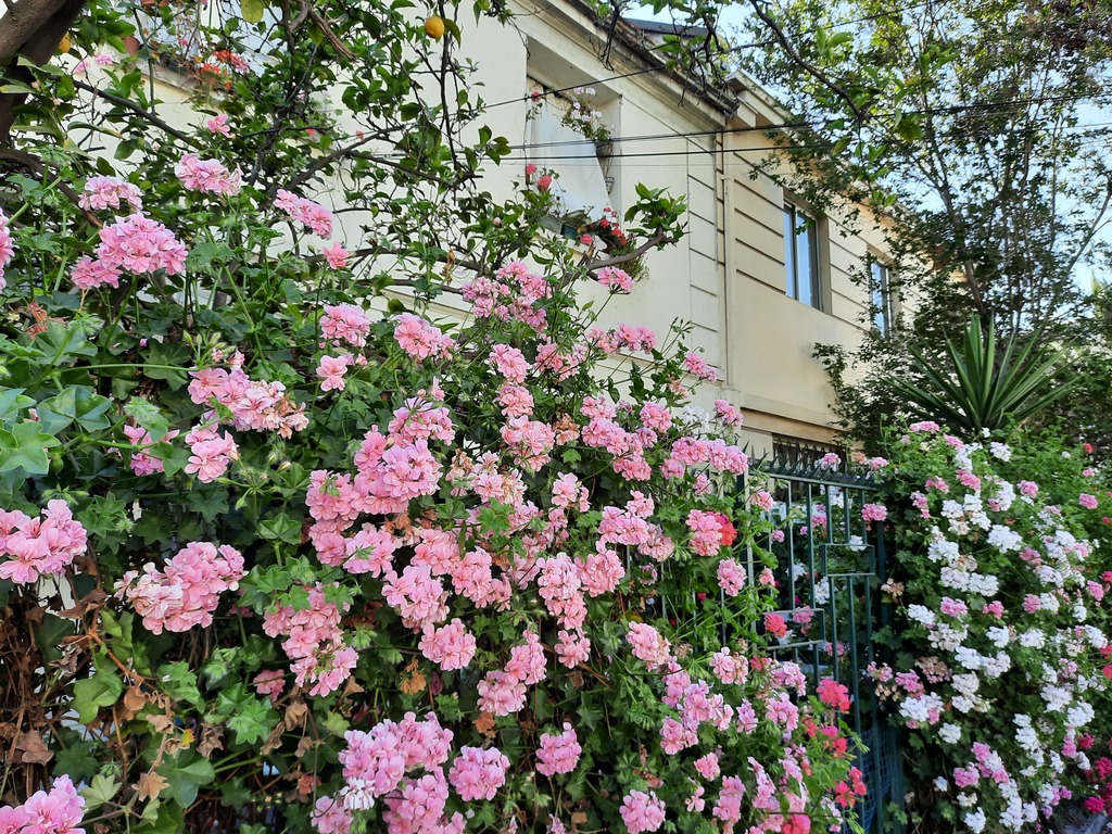 casa en venta en Ñuñoa