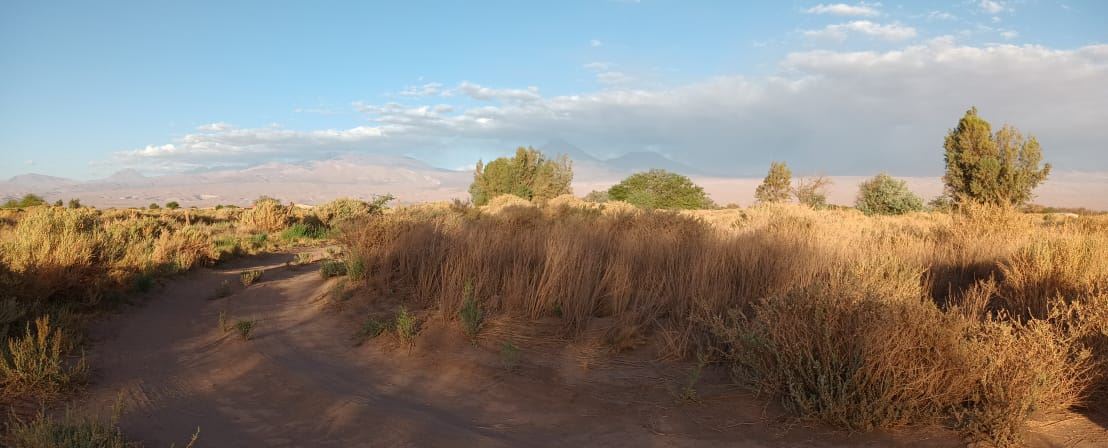 Propiedad Agricola en Venta en San Pedro De Atacama / Vivax Propiedades